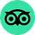 Trip Advisor Icon