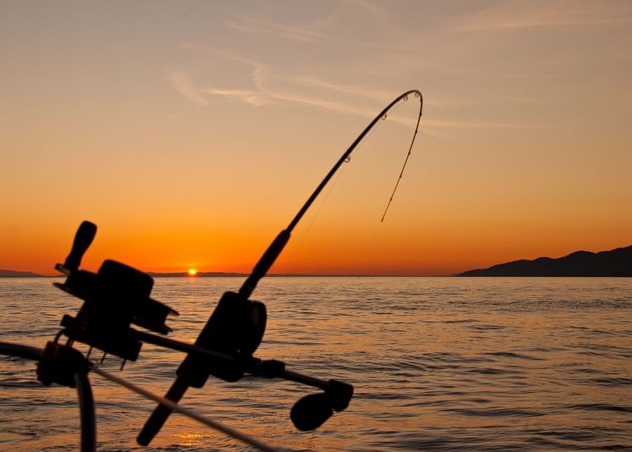 a fixed fishing rod near a lake with an island on the right side and the sun setting in the background