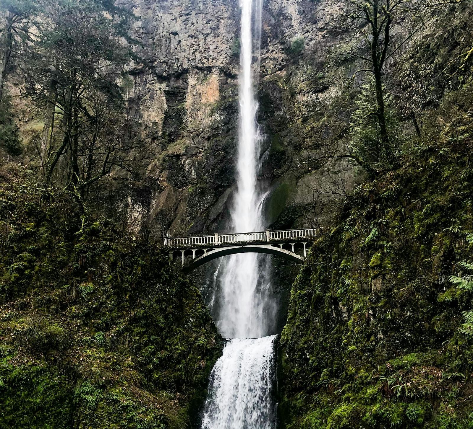 Neora Valley National Park
