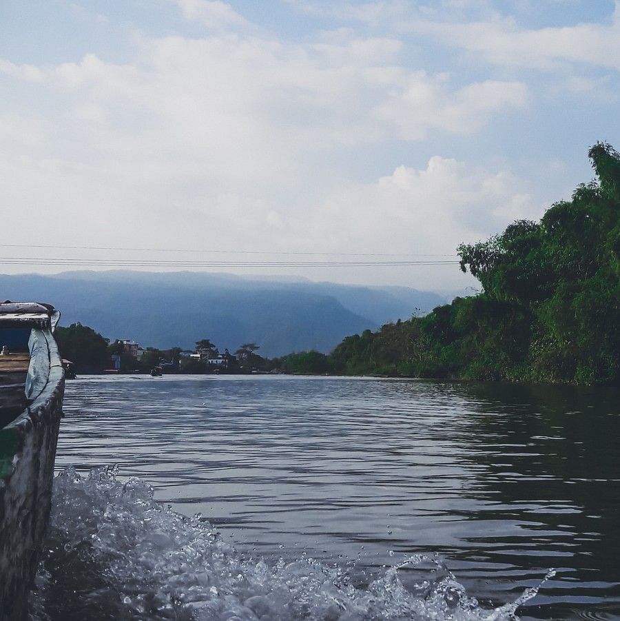 river and trees