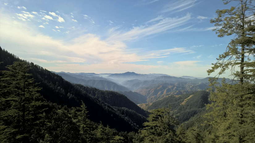 A sweeping view of dense, forested mountain slopes with a layer of fog sitting low in the distant valleys.