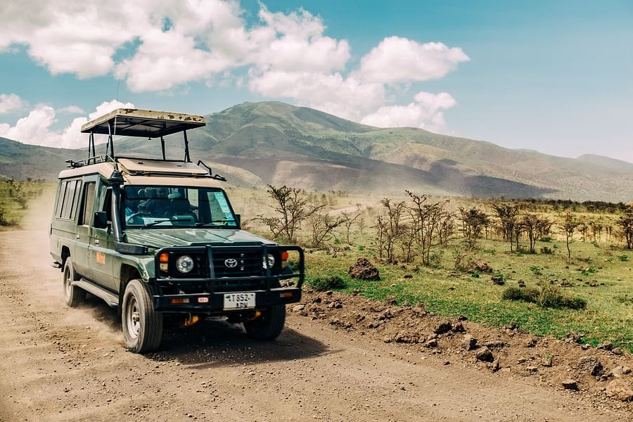 A jeep safari