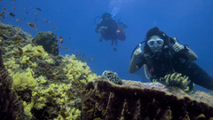Two scuba divers underwater near a vibrant coral reef in Havelock, Andaman, with one giving a thumbs-up and a sea turtle resting on a coral head in the foreground.