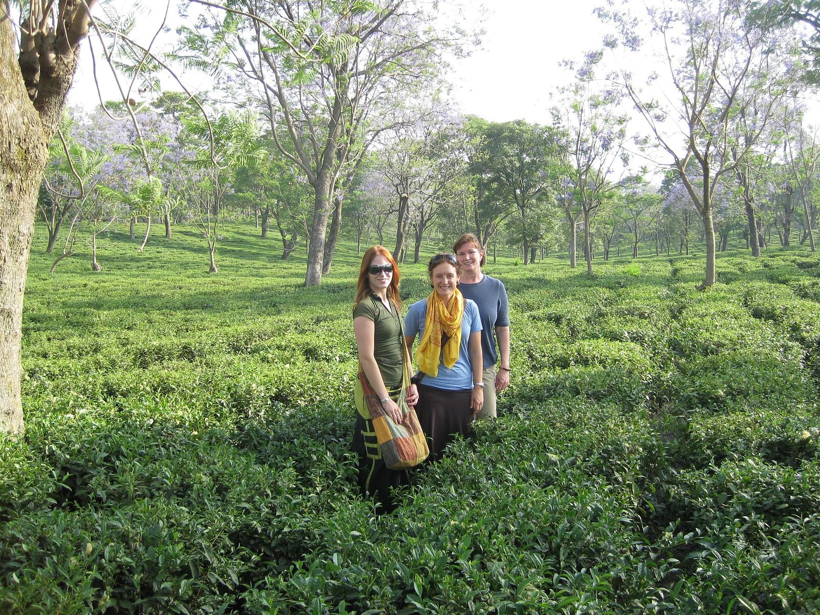 Palampur-Tea-Garden-035