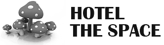 The Space Group  logo