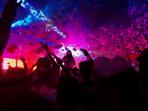 crowd  partying with blue and pink lights