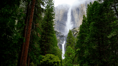 an overview of a forest with many trees in the foreground with a waterfall in the background