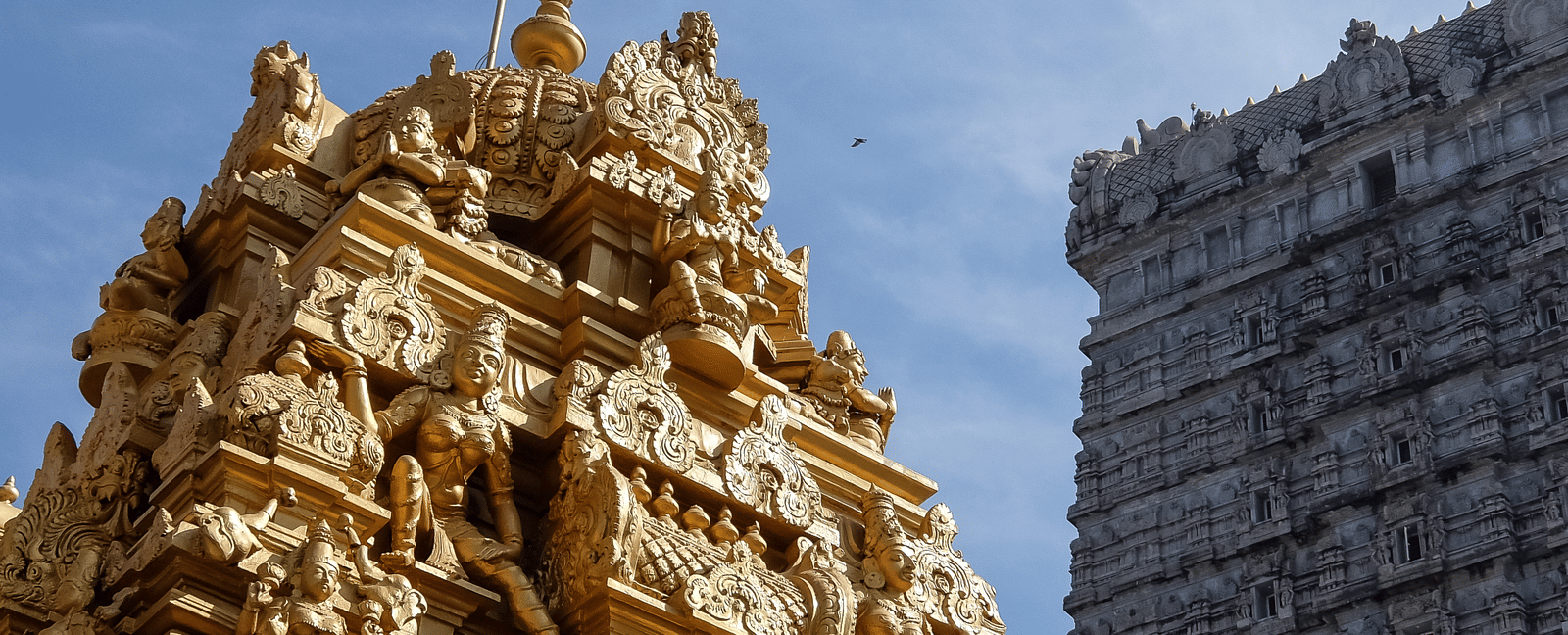 A golden gopuram with the towering and another gopuram in the background under clear sky