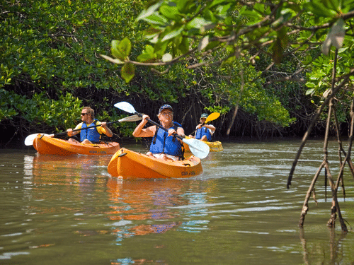 Kayaking at our resort in Havelock 