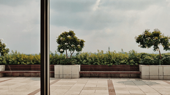 Outdoor rooftop terrace deck lined with potted green trees against an open sky view through glass panels.