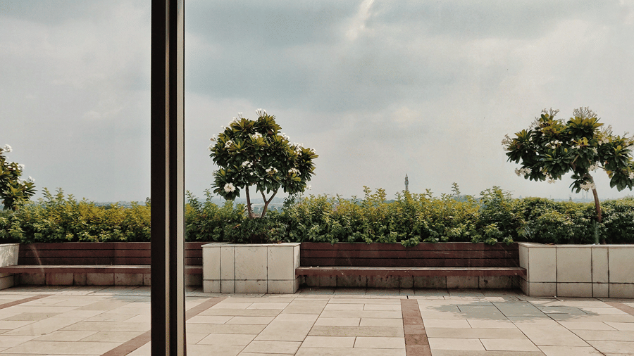 Outdoor rooftop terrace deck lined with potted green trees against an open sky view through glass panels.