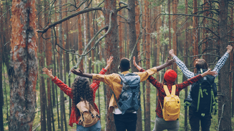 A group of people posing for a picture while showing their back in a forest area with numerous trees around. Forest Escapes is the ideal place for a corporate outing near Pune.