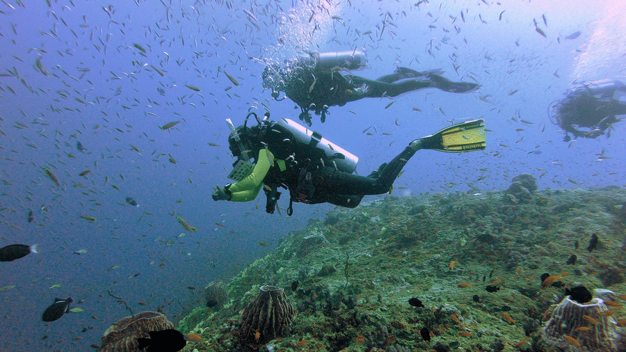 Scuba diver swimming underwater above a coral reef surrounded by schools of fish in clear blue water.