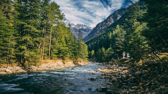 An image of a flowing stream with plants, trees, and mountains on either side