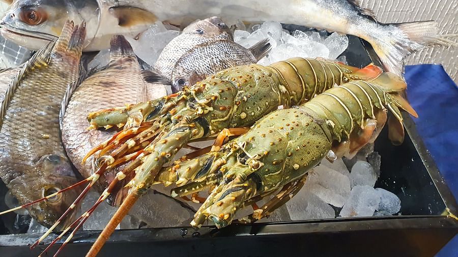 lobster and other fresh seafood kept on ice - The Orchid Hotel Mumbai Vile Parle