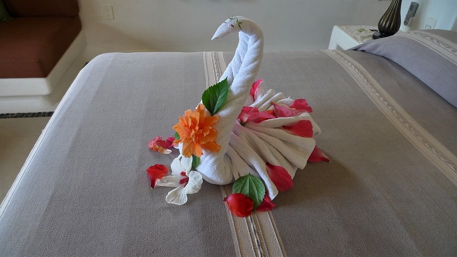 The Studios at Solana Vacation Rental Zihuatanejo Ceibadecor