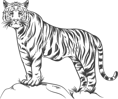 The Tattwaa Corbett Spa & Resort - Luxurious Resort in Jim Corbett 1