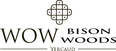 Logo-removebg-preview