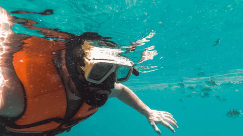 An close up of a person Snorkelling in full gear with fishes in the background in South Goa