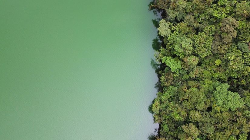 Aerial view of a lake next to a forest.