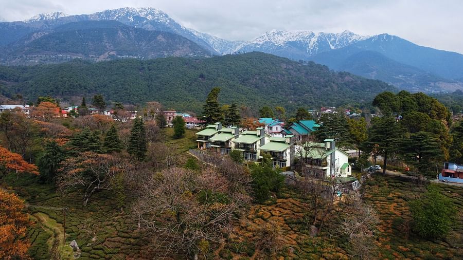 Aerial view of a tea estate with clusters of houses amidst sprawling gardens and a backdrop of mountain ranges.