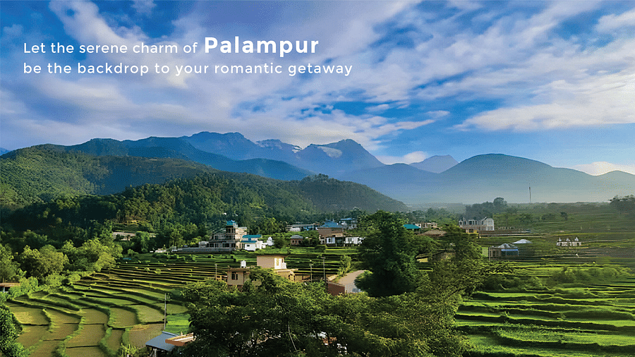 A serene landscape of Palampur with lush greenery under blue sky with white clouds as the text says 'Let the serene charm of Palampur be the backdrop to your romantic getaway'