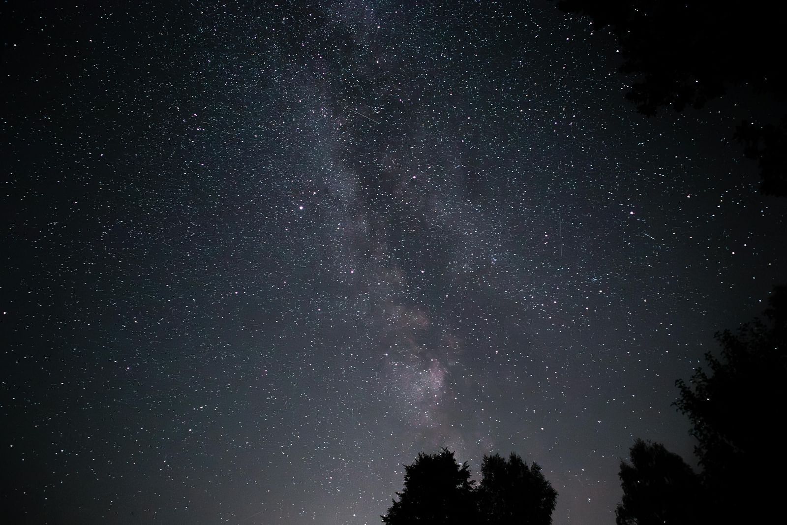 Starry night sky with a tree silhouette framing the view.