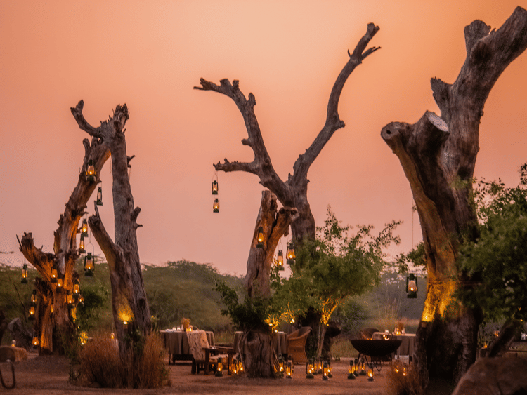 The Blackbuck Lodge - a BUSH DINNER area with lanterns on trees as decoration shot during sunset