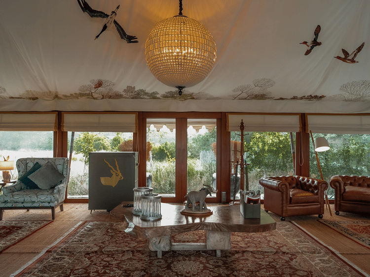 The Blackbuck Lodge - wide angle view of lounge area with chandelier and couches to sit