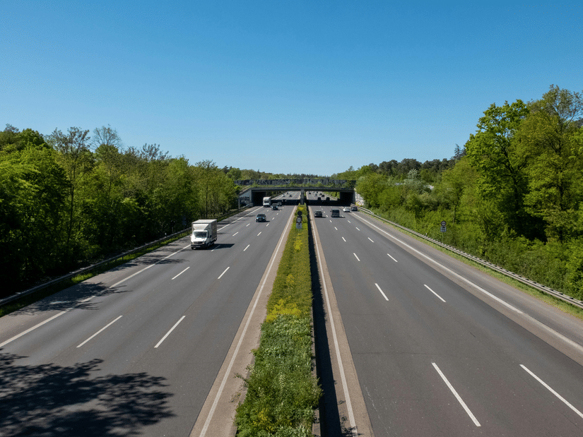 An overview of a 6-lane highway with trees on either side of the road and a manicured bush in the centre, as seen during a Goa trip from Pune.