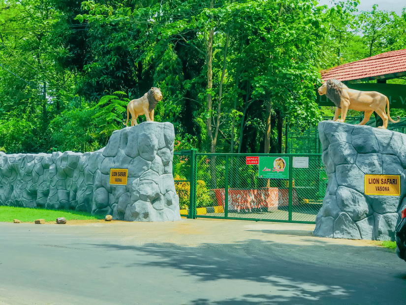 A roadway leads to the entrance gate of Lion Safari Vasona, flanked by two lion statues on stone pillars and signboards displayed across the gate.