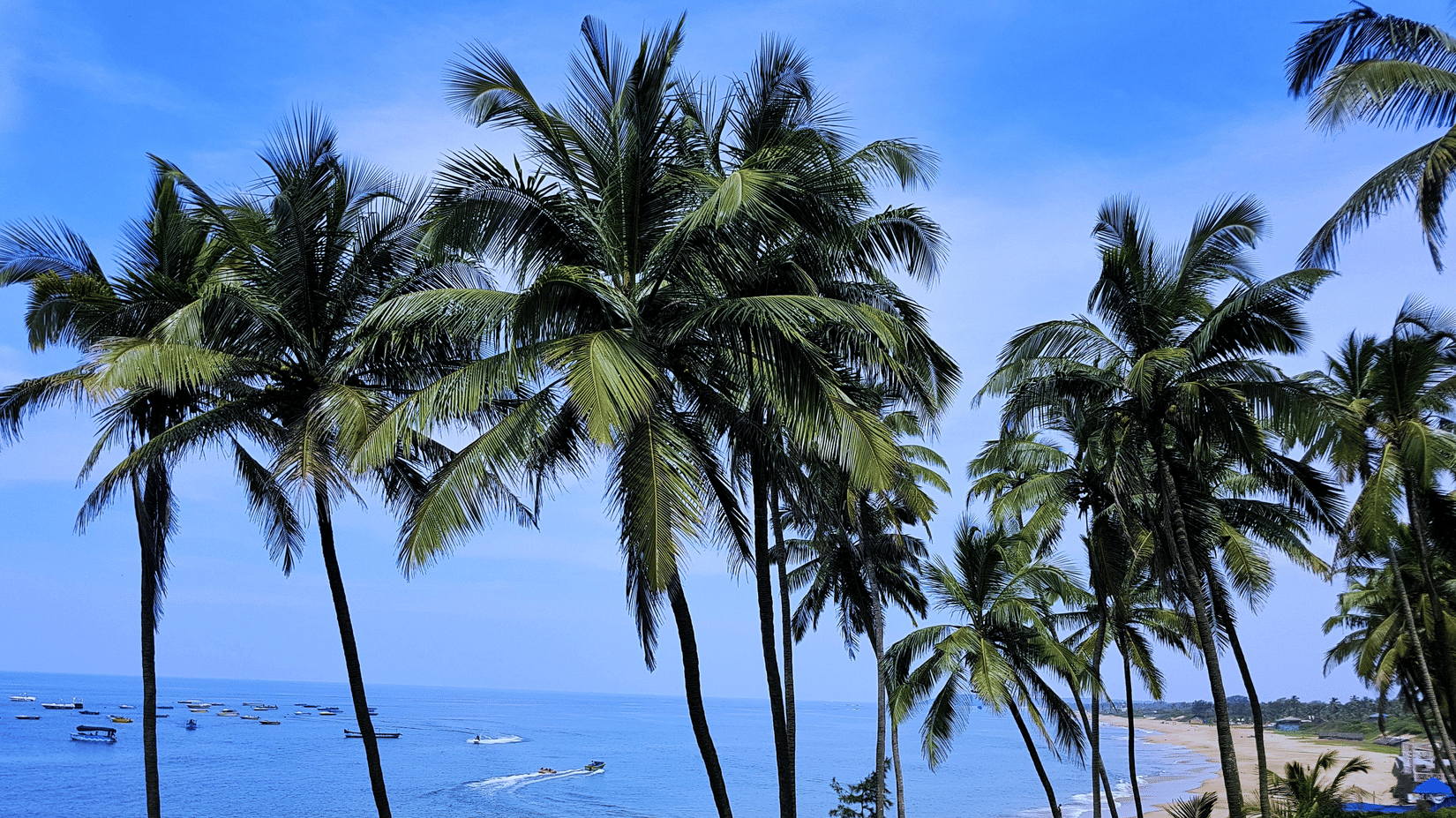 beach sand and palm trees with blue sky and sea as far the eyes can see @ Lamrin Ucassaim Hotel, Goa