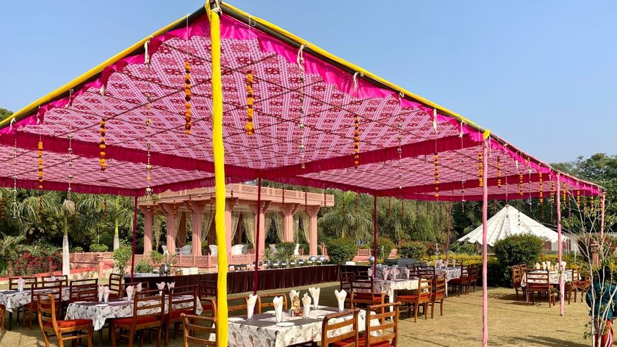 Shaimana Theme - Lunch at the Lawns - Dining 7