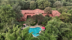 Aerial view of a lush property with a large swimming pool.