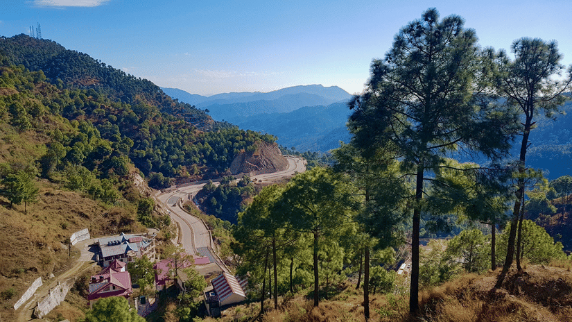 A winding mountain road surrounded by lush green pine trees, with distant hills and a clear blue sky in the background