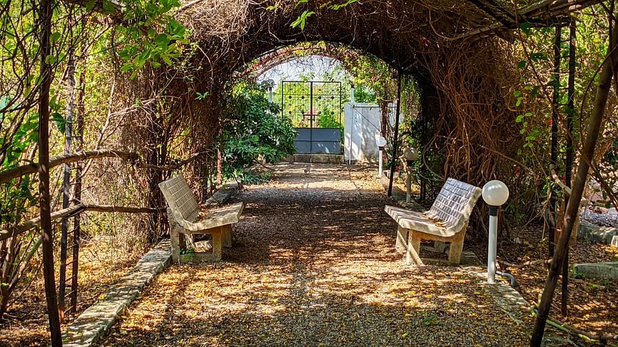 An overview of a seating arrangement inside a park with vines as a roof in Jamnagar