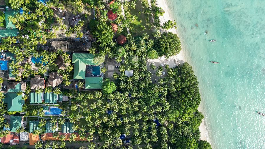  An aerial view of a tropical resort with vibrant green foliage and beachside locations. The blue water contrasts with the lush greenery, providing a serene, natural landscape - Coral Reef Resort & Spa, Havelock