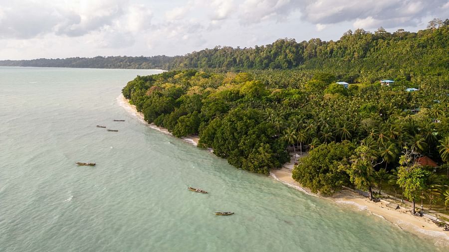 A scenic view of a beach with smooth, sandy shores and clear turquoise waters. The coastline is lined with lush greenery, creating a tranquil and natural setting - Coral Reef Resort & Spa, Havelock