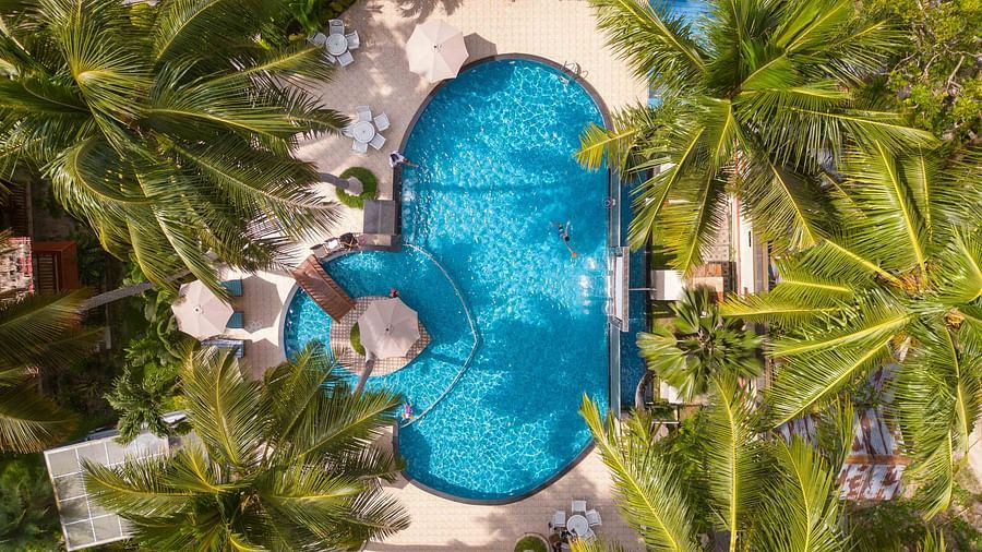 An aerial view of a stunning pool surrounded by palm trees and lounge chairs, with a peaceful, tropical environment surrounding the area. The pool is the centre of this serene outdoor setting - Coral Reef Resort & Spa, Havelock