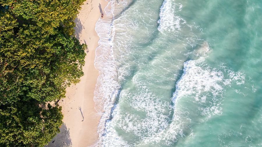  A close-up of the shoreline with soft waves and clear water meeting the sandy beach. Palm trees and vibrant greenery surround the beach area, enhancing the peaceful atmosphere - Coral Reef Resort & Spa, Havelock