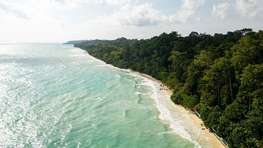 A panoramic view of a beach stretching along the coastline, with clear turquoise waters gently lapping against the shore. Lush greenery lines the beach, adding to the picturesque setting - Coral Reef Resort & Spa, Havelock