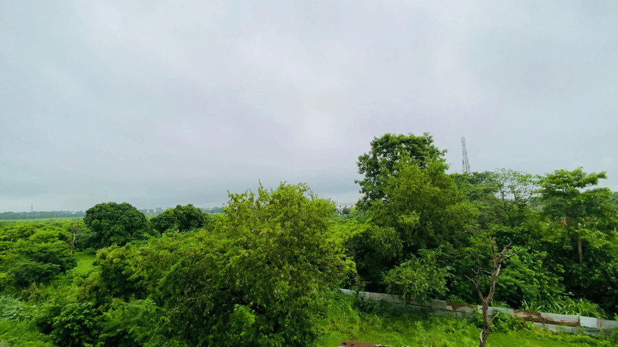 A green landscape view with dense trees under a cloudy sky at Livbox, Rudrapur.