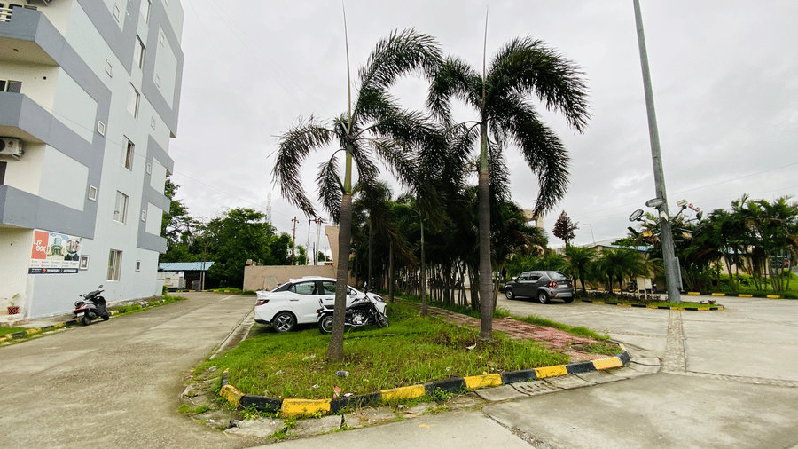 Circular driveway with neatly maintained palm trees at Livbox, Rudrapur.