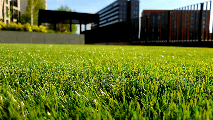 a close up shot of a manicured lawn area with a building in the background