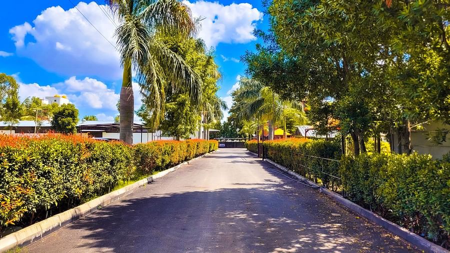 Scenic tree-lined driveway at Vistar Resort. | Vistar Resort, Bengaluru