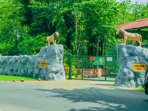 A roadway leads to the entrance gate of Lion Safari Vasona, flanked by two lion statues on stone pillars and signboards displayed across the gate.