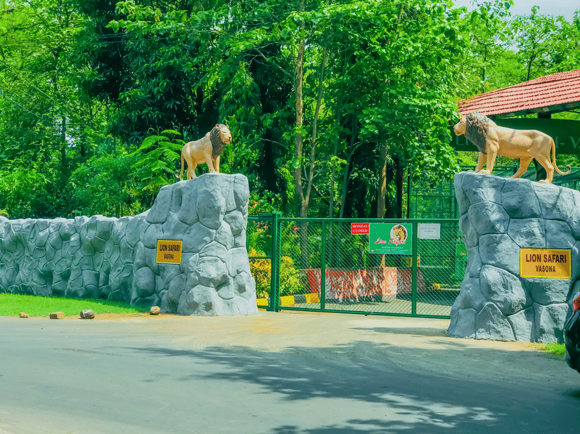 A roadway leads to the entrance gate of Lion Safari Vasona, flanked by two lion statues on stone pillars and signboards displayed across the gate.