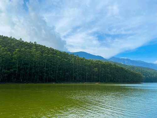 Scenic lake surrounded by dense forested hills.