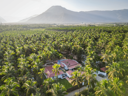 Drone shot of the white resort cottage with a red roof and blue window frames, surrounded by palm trees and green lawns - Ibex Resorts, Coimbatore (Kakarla)