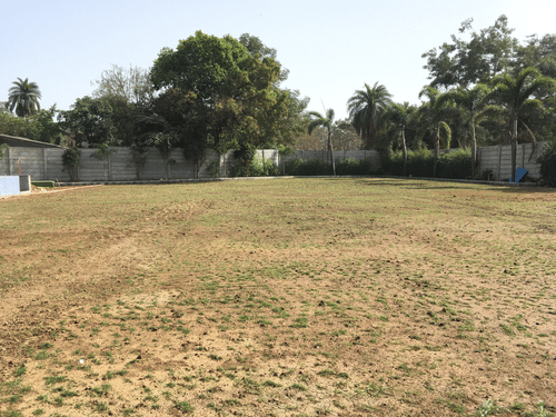 A view of the lawn area that can be used for as wedding venues in Daman, with trees and a cement wall in the distance and blue sky in the background.